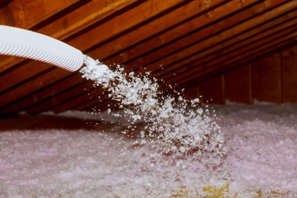 Best Local Insulation Services  in Nokomis, FL