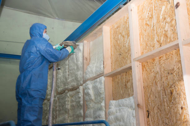 Best Garage Insulation Installation  in Nokomis, FL
