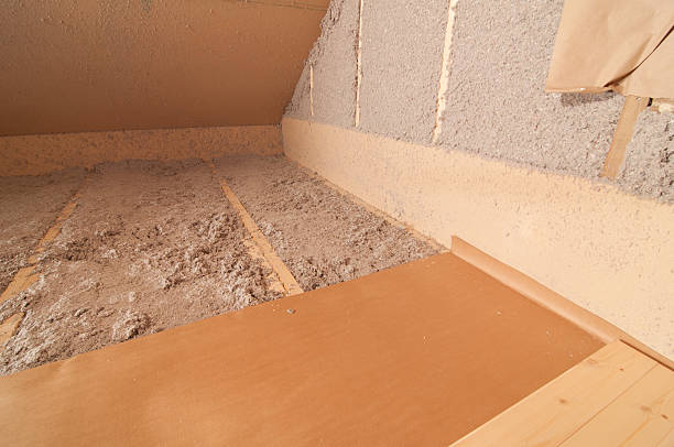 Best Insulation Repair Services  in Nokomis, FL