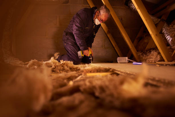 Best Insulation Contractors for Homes  in Nokomis, FL